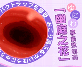 Shirakawa Mori anime big breasts can be inserted into the half-body mold (8 pounds)