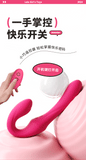 Le tide stick double head vibration double shock stick (wireless remote control)