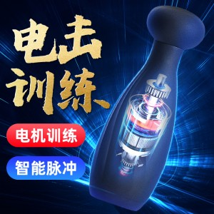 ROSELEX 雷特电击自慰训练器