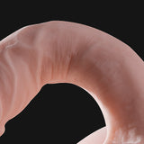 女用阴臀倒模深情男校草