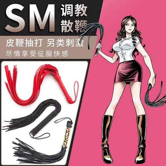 Sexy whip SM essential training toy